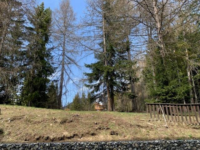 Cozy Central Apartment At A Special Price! Crans-Montana Extérieur photo